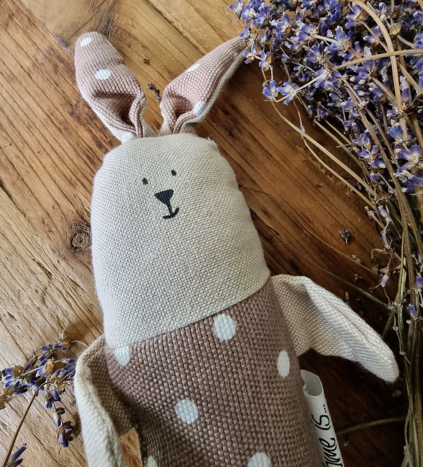 Home Is... Cuddle Bunny - Dotty Beige